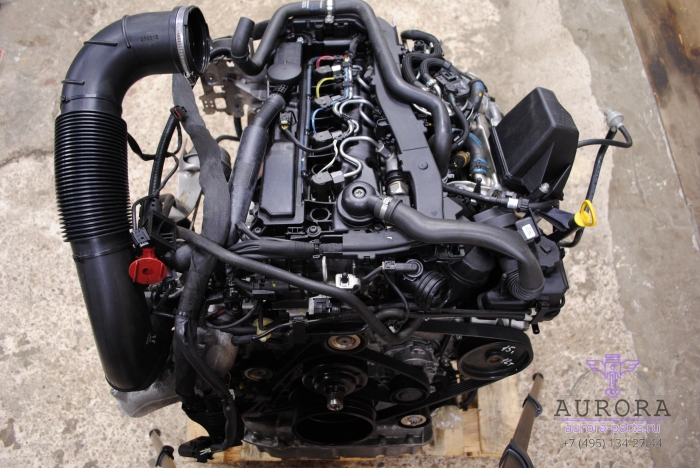 Двигатель в сборе  2.2 CDi OM 651 (15г.в. пробег 12 тыс. км.) без сцепления и вискомуфты.