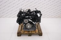 Двигатель в сборе с навесным DCB 3.0 Бензин 2024 год.