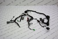 Проводка передней двери левый