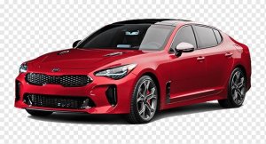 STINGER 2017-2021