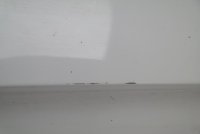 Задний борт (цвет 300)